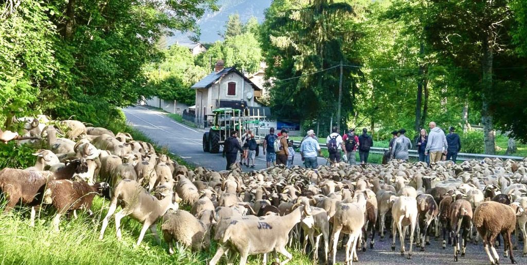 tourisme2025 2 tourisme2025 2